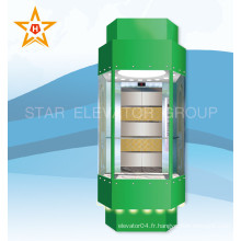 China Safe and Stable Panoramic Glass Lift Elevator (VVVF Drive)